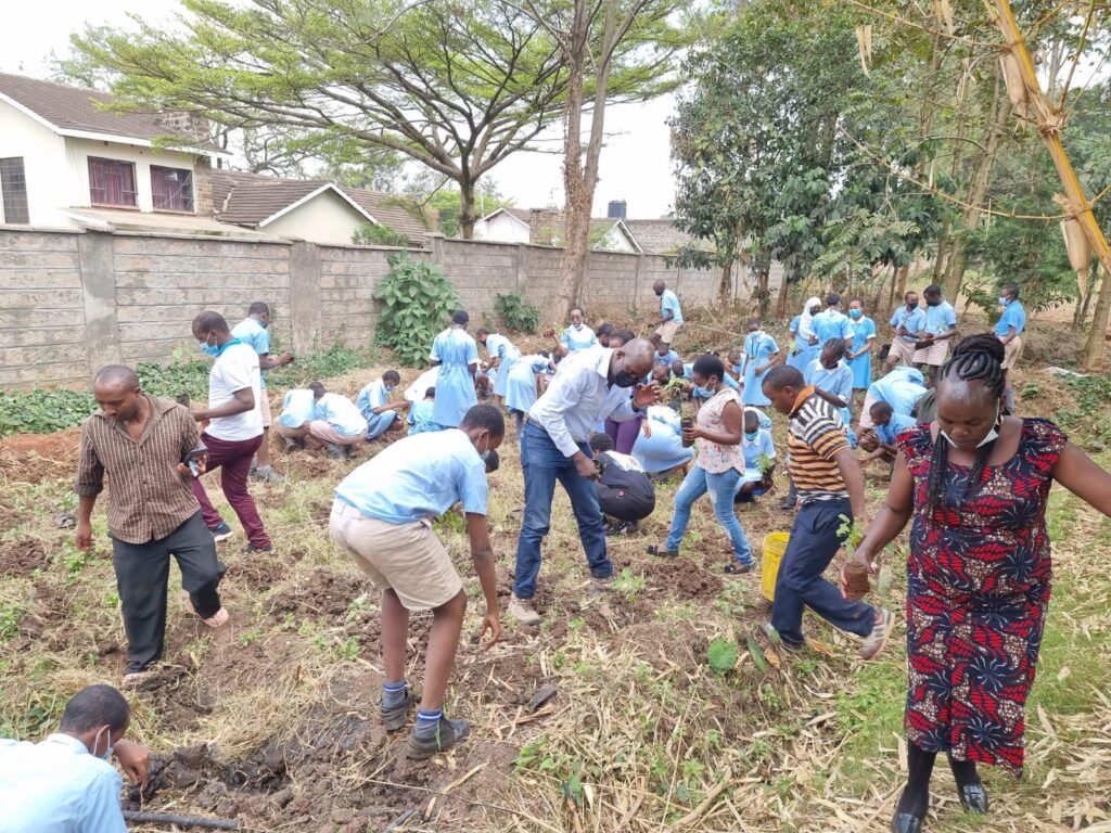 Tree Planting Exercise at Langata Primary School