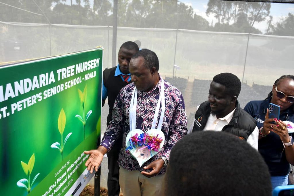 Global Peace Foundation Kenya and Chandaria Foundation Launch Chandaria Tree Nursery at St. Peter's Senior School, Ndalu
